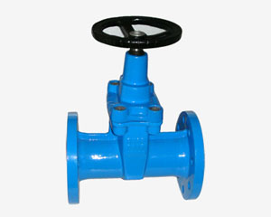 CAT IRON RESILIENT GATE VALVE，RS